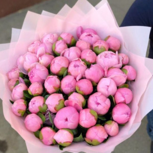 45 розовых пионов в розовой упаковке