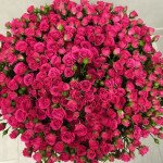 101 кустовая роза с лентами 101 кустовая роза с лентами